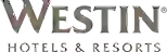 Hotels Icon